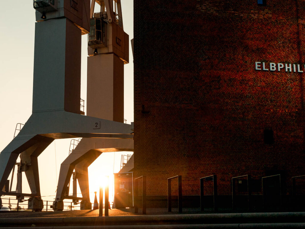 Krähne der Elbphilharmonie - 2018
