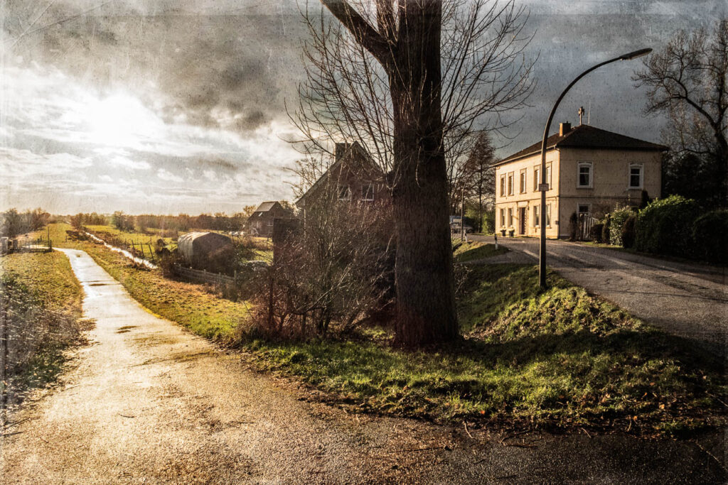 Aus der Fotoserie Vierlande - Nach dem Regen - 2025