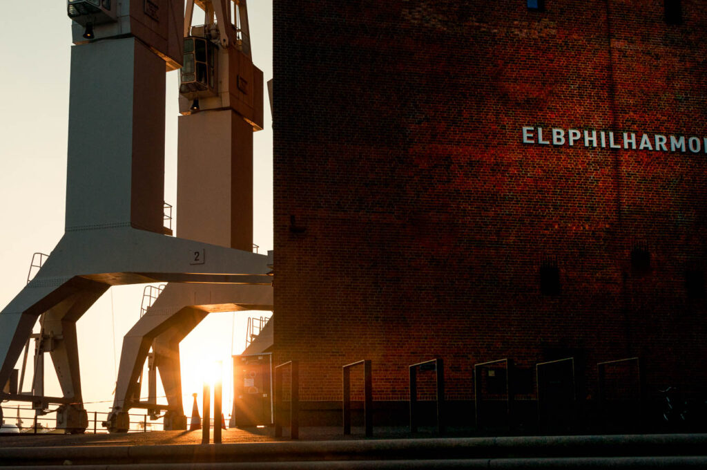 Krähne der Elbphilharmonie - 2018