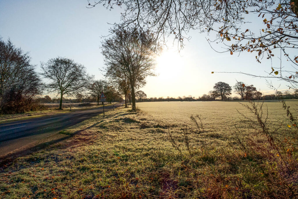 Gegenlichtaufnahme in die Sonne mit manueller Belichtung nach der Sunny-16-Regel