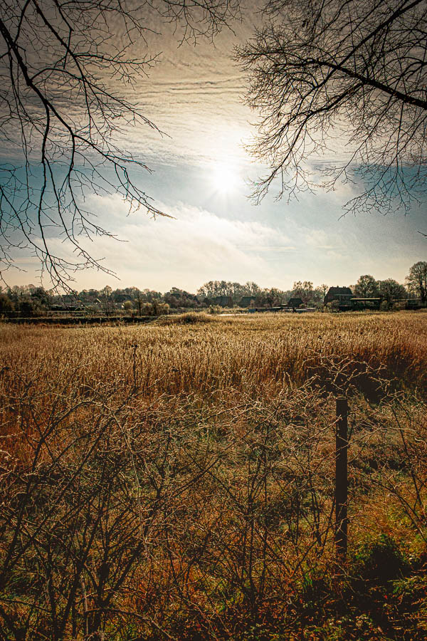 _1100037-Bearbeitet.jpg _1100037-Bearbeitet.jpg