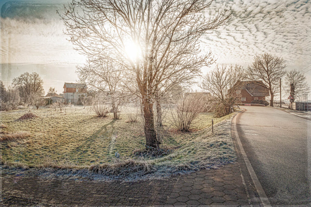 VWet 94 - Frost Neuengamme 1 - 2025