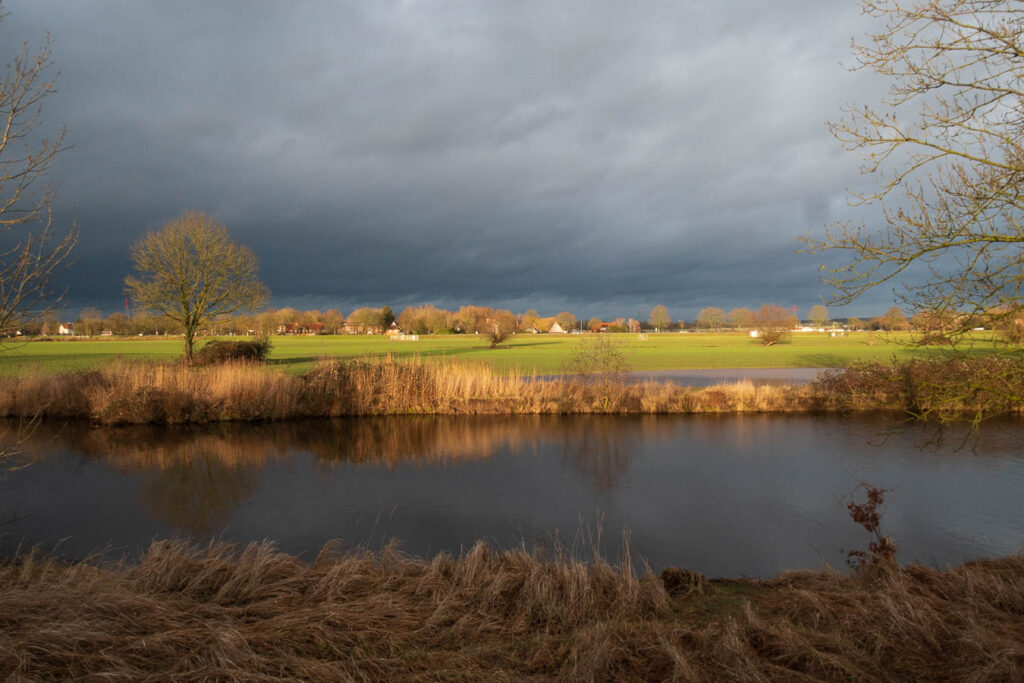 _1100347.jpg _1100347.jpg