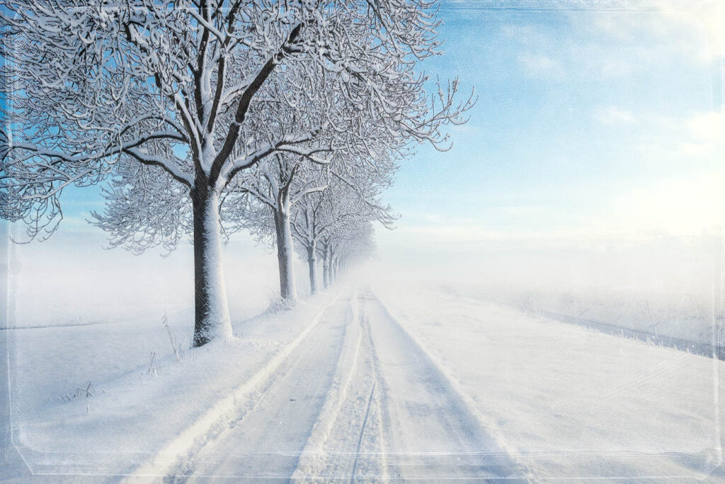 VWet 118 - Winter im Feldstegel - 2026