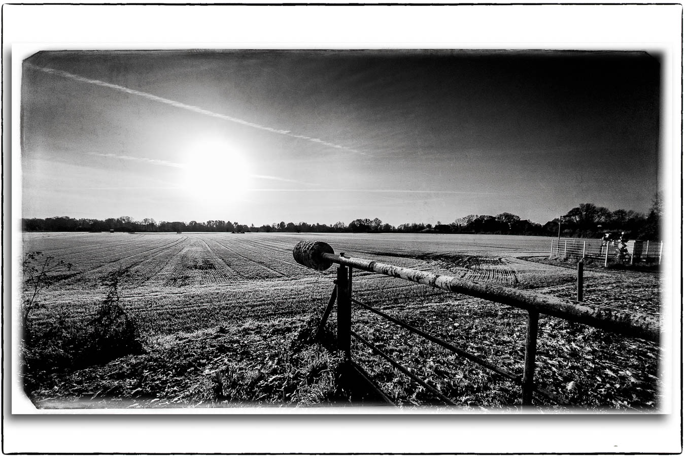 Bild eines Feldes in Hamburg-Allrmöhe bei Sonnenaufgang in schwarzweiß