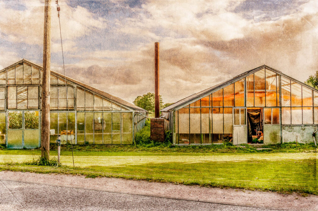 VWet 6 - Gew&auml;chsh&auml;user Kibitzdeich - 2015