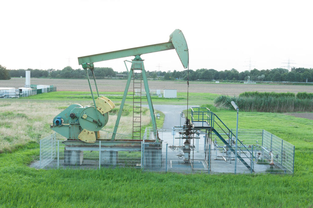 _DSC6335.jpg _DSC6335.jpg