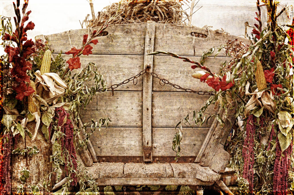 VWet 26  - Erntedankwagen -  2016