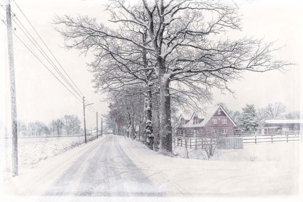 VWet 40 - Winter Neuengamme 5 - 2018