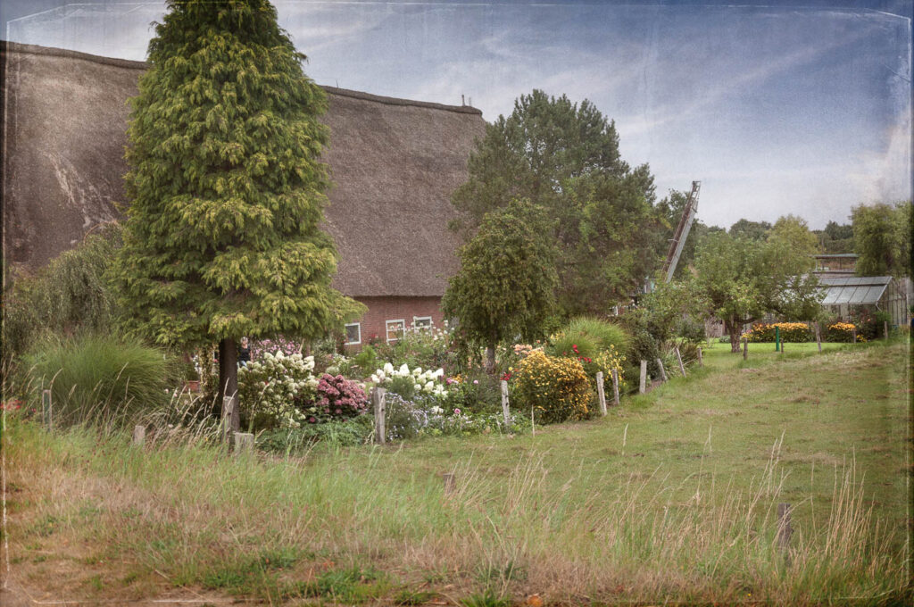 VWet 45 - Garten Allermöhe - 2018 VWet 45 - Garten Allermöhe - 2018