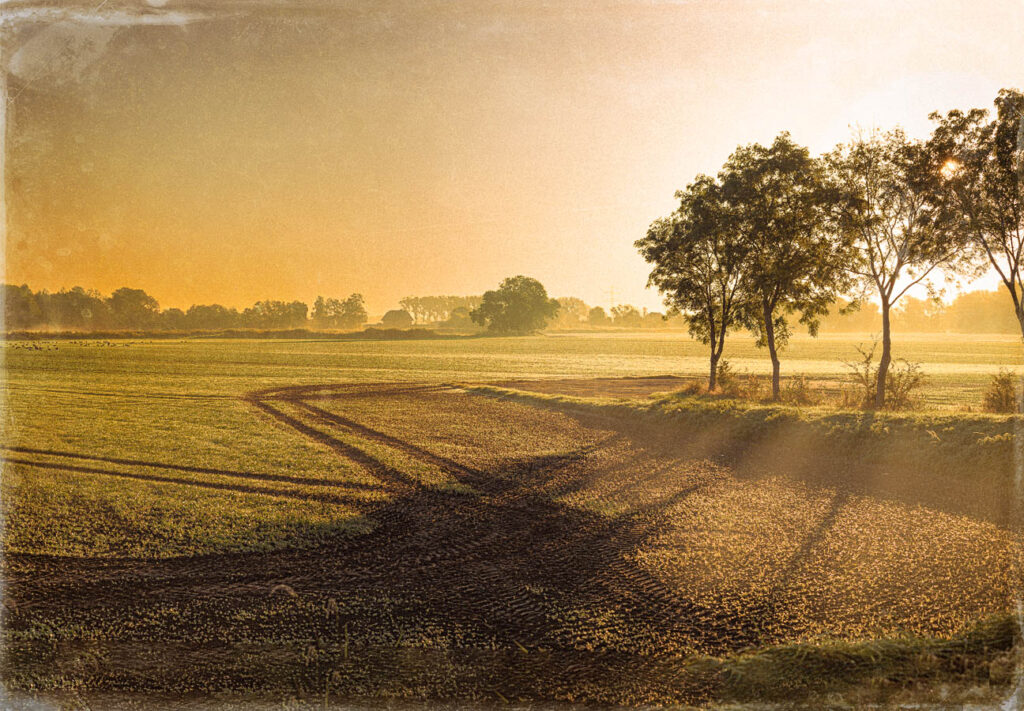 VWet 73 - Sonnenaufgang Ochsenwerder 2 - 2021