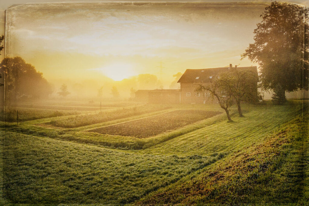 Ein Sonnenaufgang am Allermöher Deich.