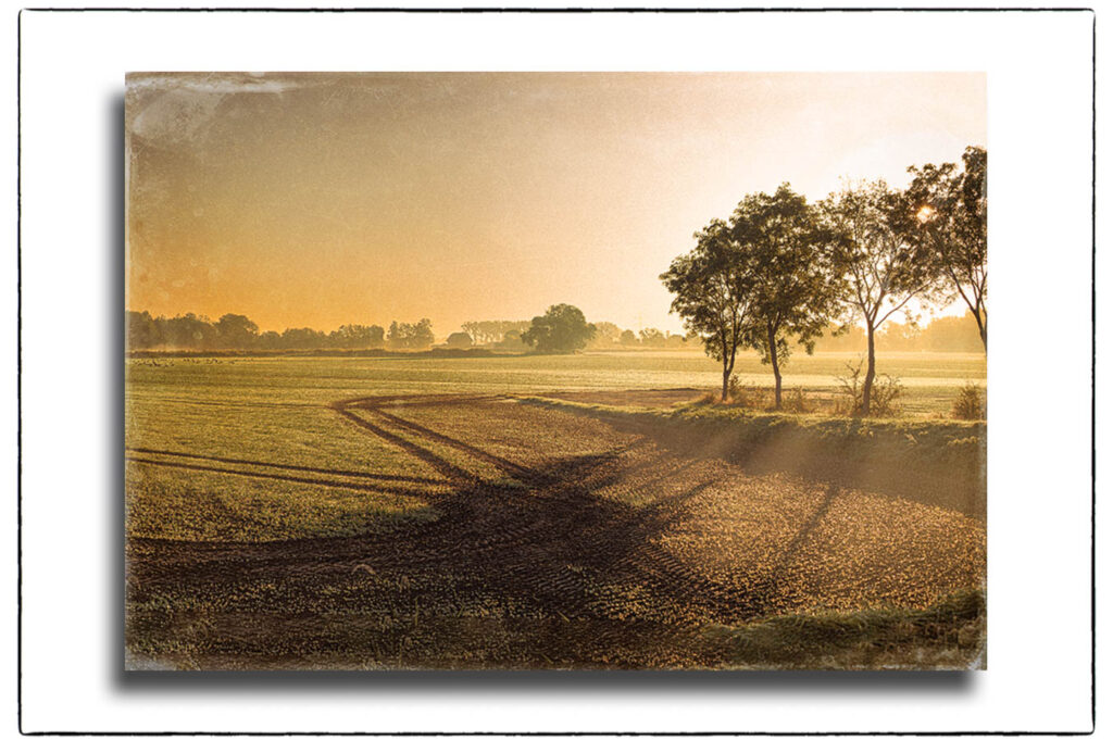 Fineart-Print eines Sonnenaufganges über einem Feld in Ochsenwerder.