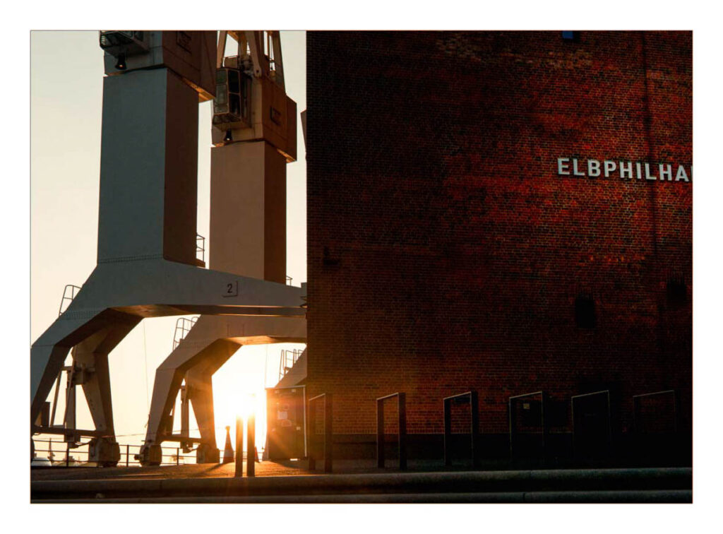 Krähne der Elbphilharmonie - 2018 Krähne der Elbphilharmonie - 2018