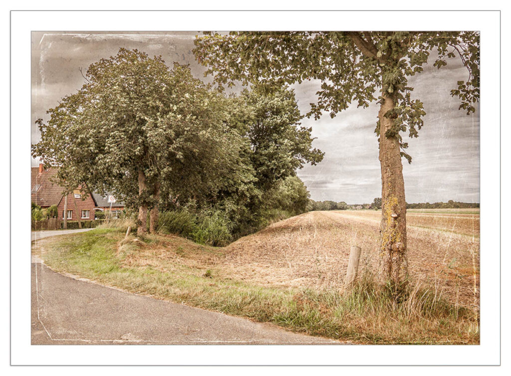 Feld an der Straße Feldstegel in Neuengamme, Vierlande