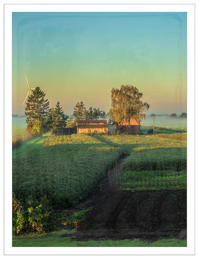Sonnenaufgang in Ochsenwerder
